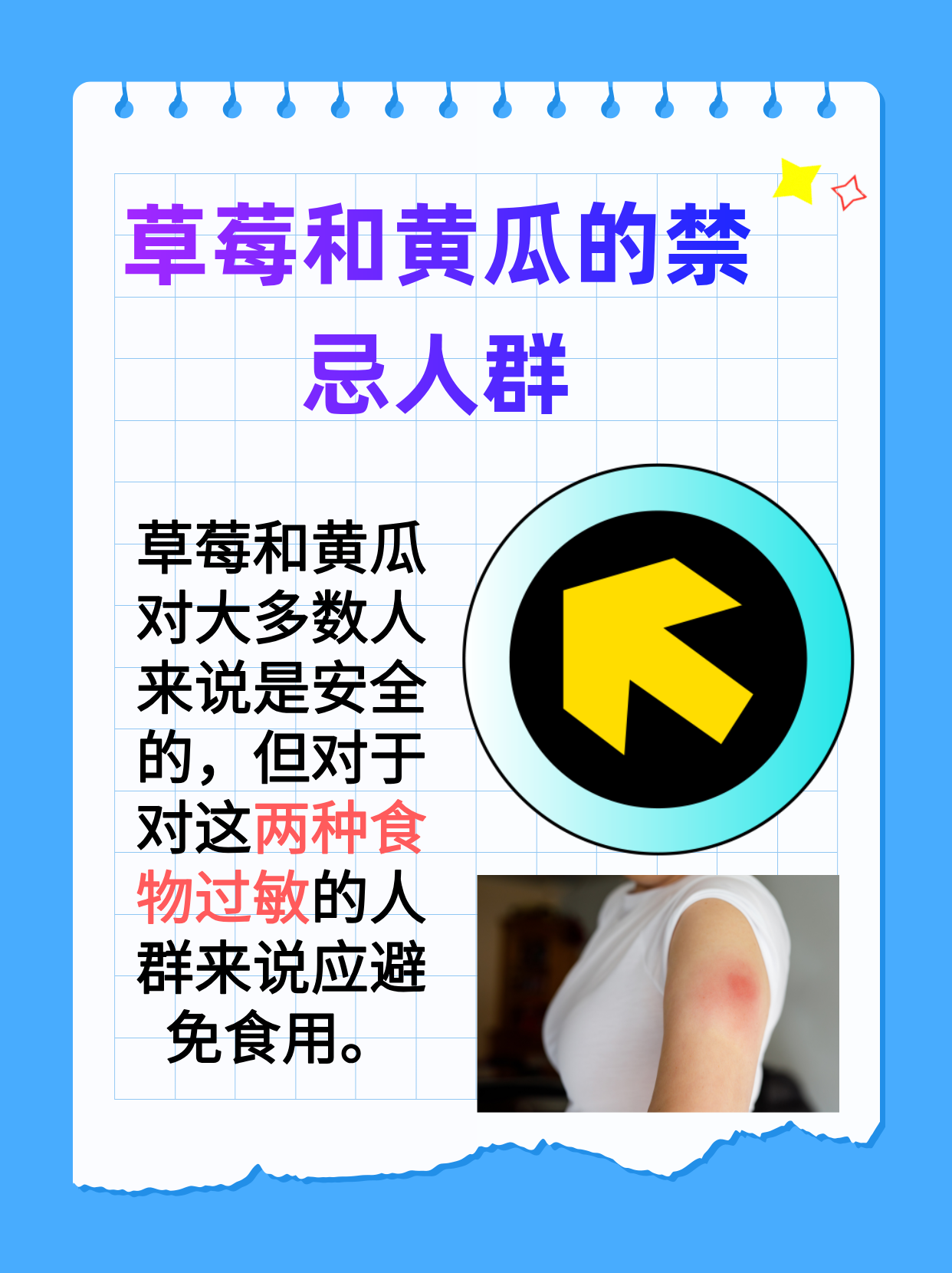 五彩缤纷的田园盛宴——向日葵、西瓜、黄瓜、丝瓜与葫芦的交响曲-第1张图片