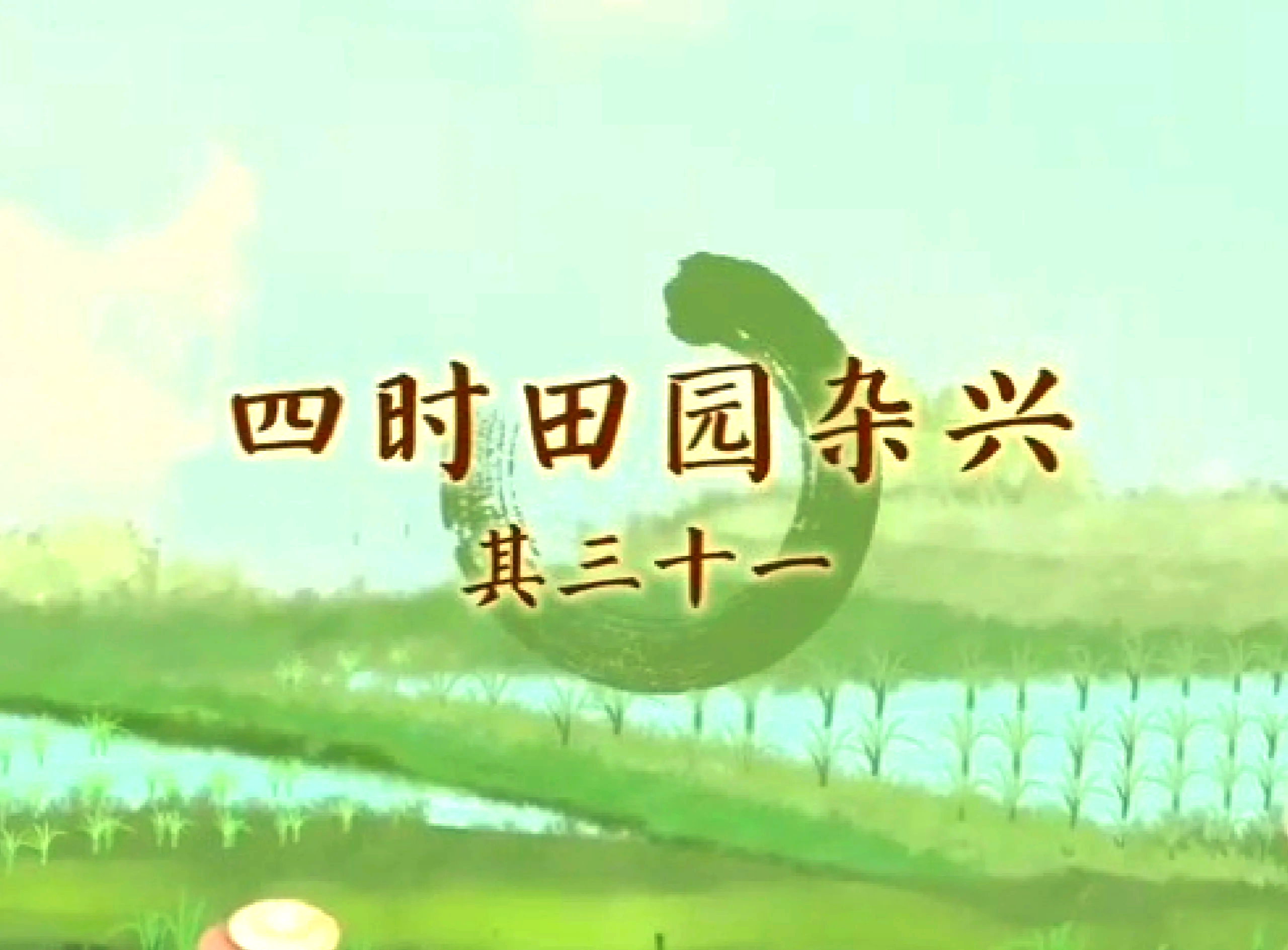 五彩缤纷的田园盛宴——向日葵、西瓜、黄瓜、丝瓜与葫芦的交响曲-第2张图片