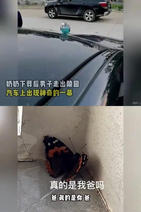 果冻传媒事件，儿子惹事，母亲上门-第1张图片