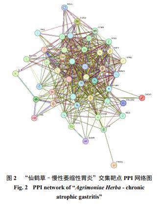 国产视频的多元性与市场发展探讨-第1张图片