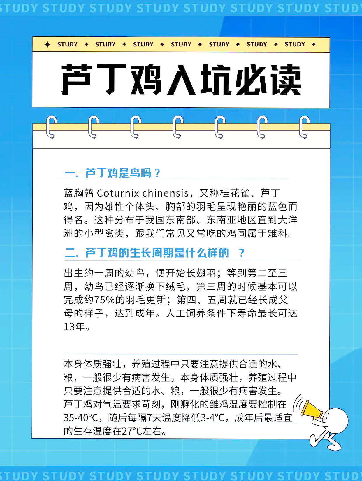 芦j鸡好养吗关于露jj的探讨-第1张图片