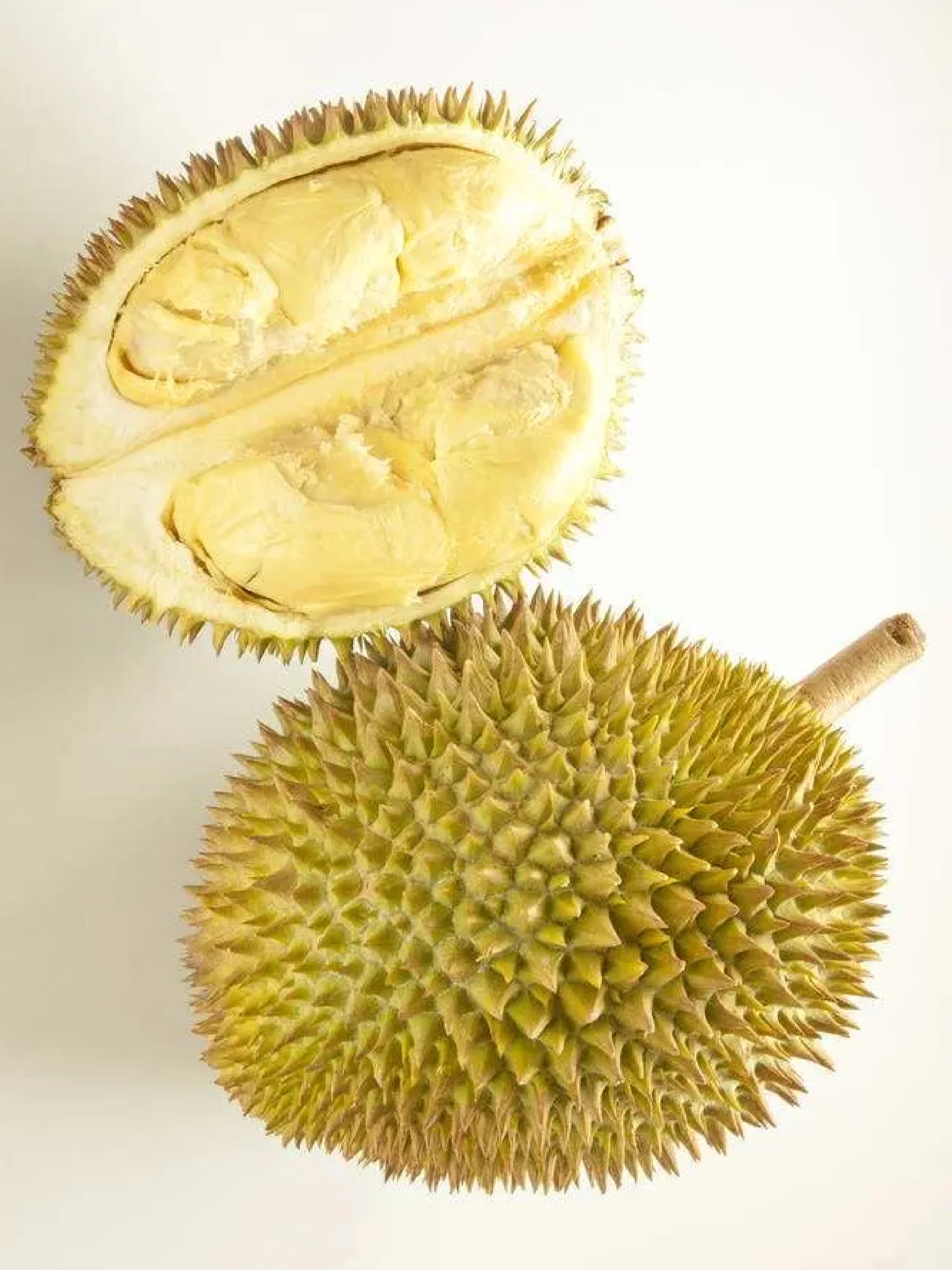 榴莲spliuliansp榴莲lllll77榴莲的魅力与独特之处——SPLIULIANSP榴莲LLLLL99-第1张图片