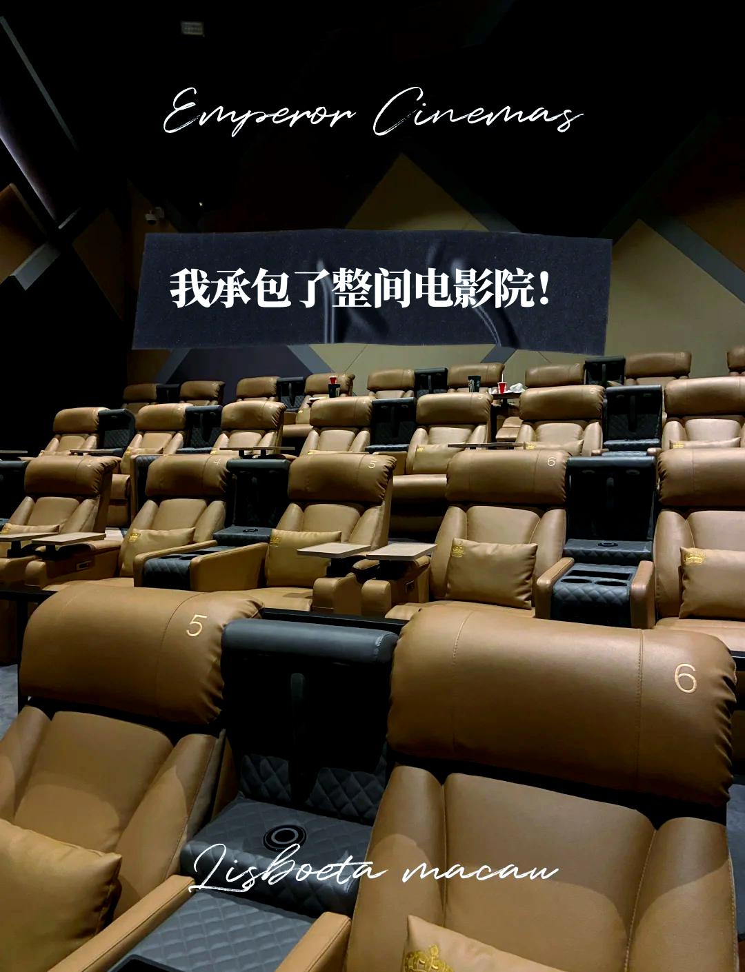 无限免费观影体验，畅享视频世界的乐趣-第2张图片