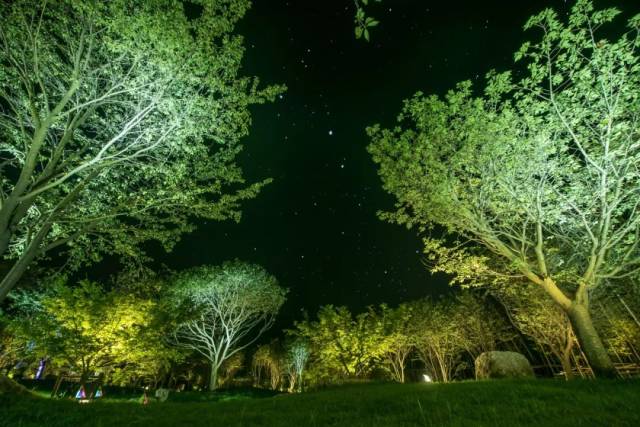 十大不封号直播平台夜月直播，免费观看的夜晚星辰